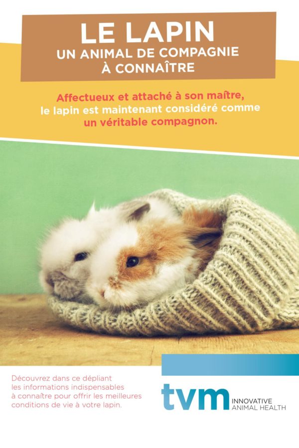 Dépliant Le lapin, un animal de compagnie à connaître (unité : paquet de 25 ex) 1