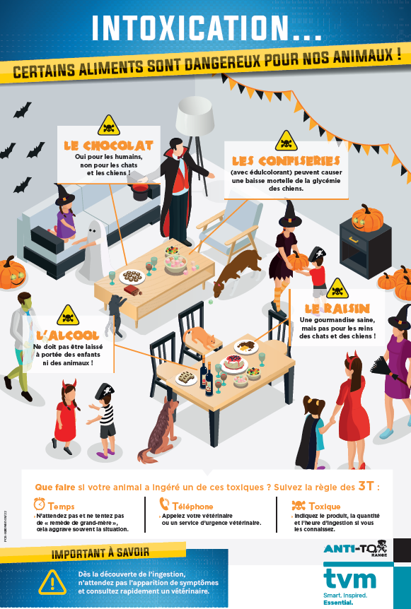 Poster Halloween et risques d'intoxications (à l'unité) 1