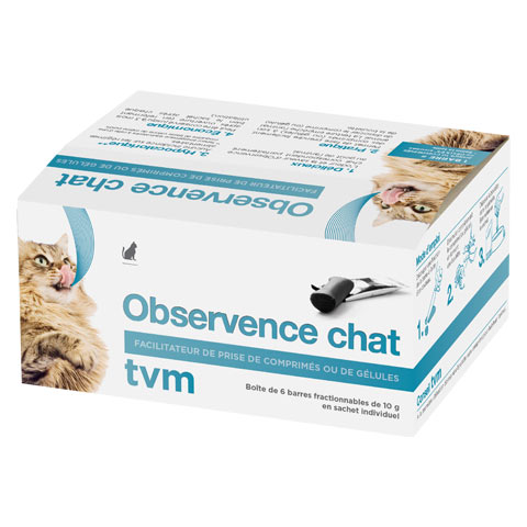 Observence Chat 1