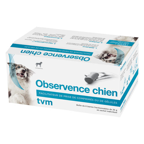 Observence Chien 1