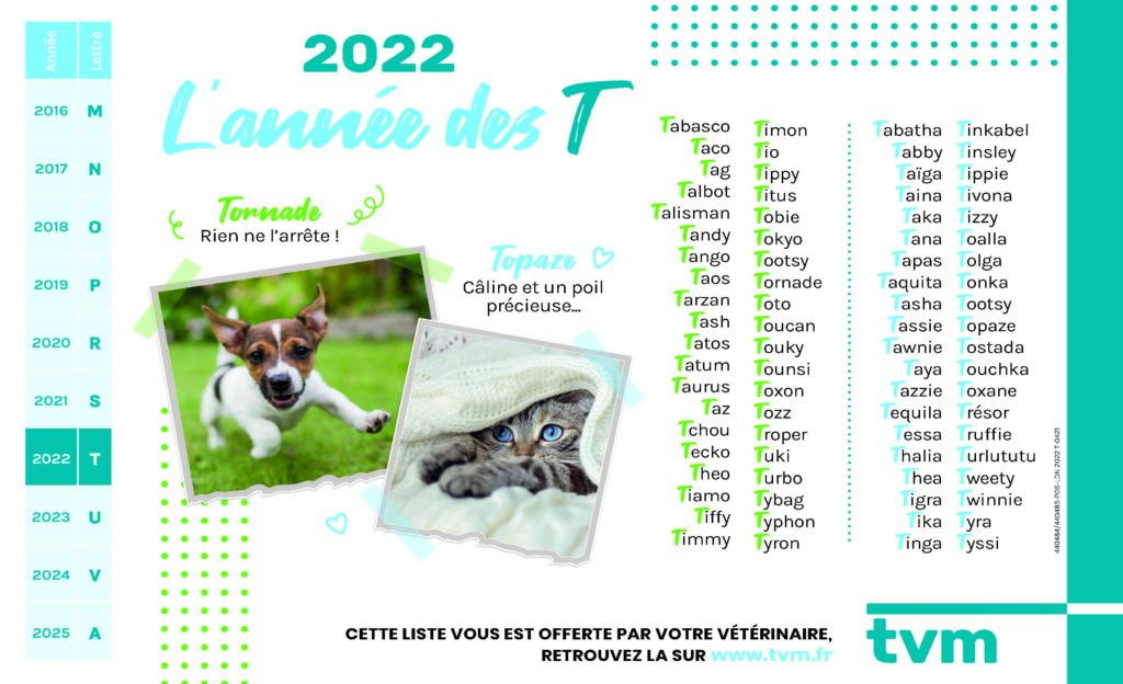 Idées de T pour chiens et chats [année 2022]