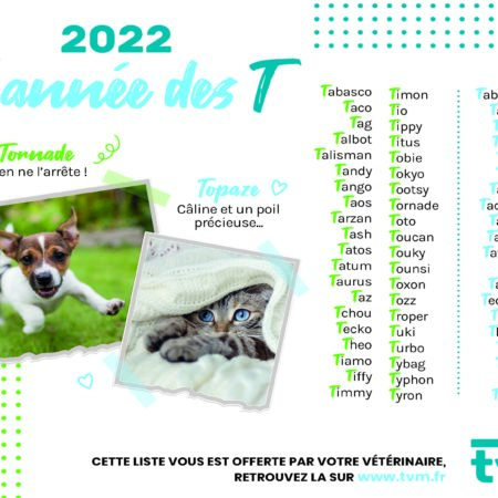 liste des noms en T chiots et chatons 2022
