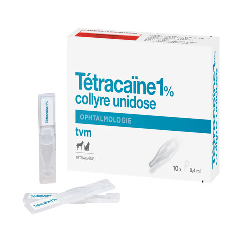 Tétracaïne 1% Collyre unidose 1