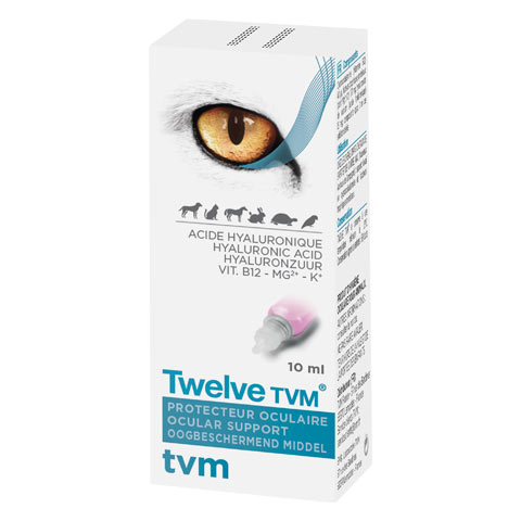 Twelve TVM 1