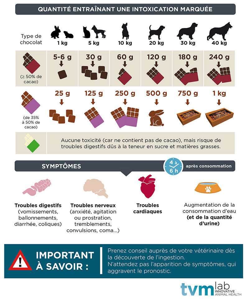 Cette infographie présente les risques d'intoxication chez les animaux de compagnie en fonction de leur poids, les symptômes associés et la marche à suivre en cas d'ingestion. 