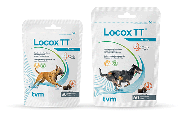 Locox TT®, des bouchées savoureuses pour le soutien des articulations des chiens actifs ! 1